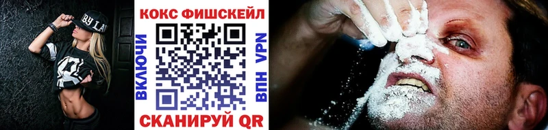 COCAIN Fish Scale  Купить где  Суджа 