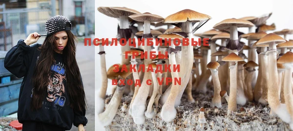 а пвп мука Балахна