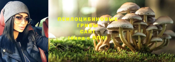 прущие крисы Баксан