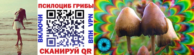 Галлюциногенные грибы мицелий  Купить  Суджа 
