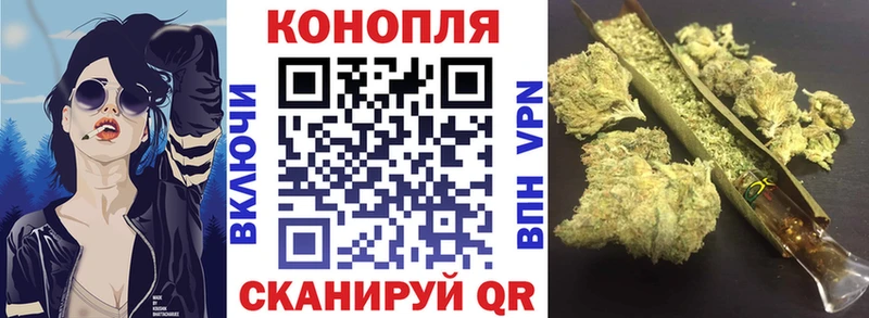 Купить где  Суджа  Конопля тримм 